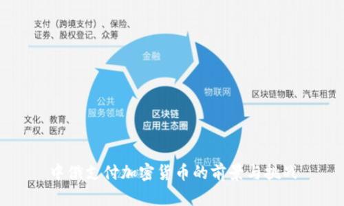 中俄支付加密货币的前景与挑战