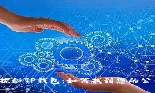  探秘TP钱包：如何找到您的公钥