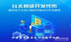 加密货币未来支付的奋斗
