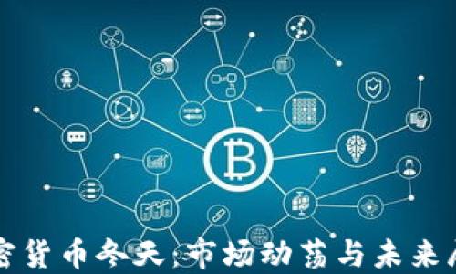 
加密货币冬天：市场动荡与未来展望