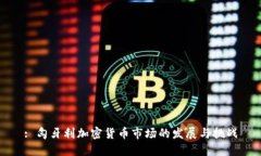 : 匈牙利加密货币市场的发