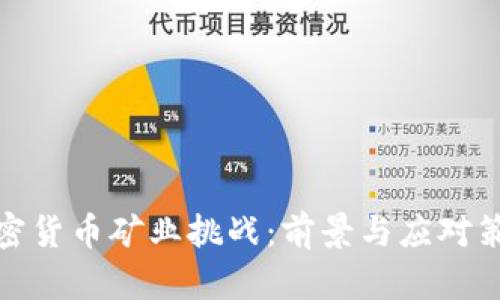 加密货币矿业挑战：前景与应对策略