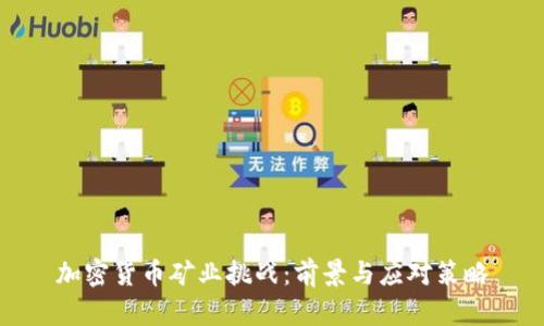 加密货币矿业挑战：前景与应对策略