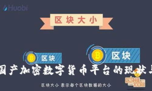 中国国产加密数字货币平台的现状与未来