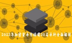 2023年加密货币市场前30名