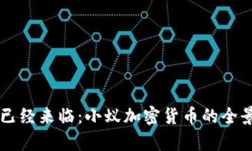 未来已经来临：小蚁加密货币的全景解析