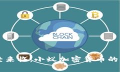 未来已经来临：小蚁加密