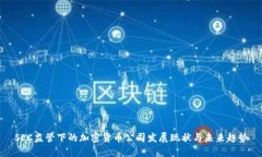 SEC监管下的加密货币公司