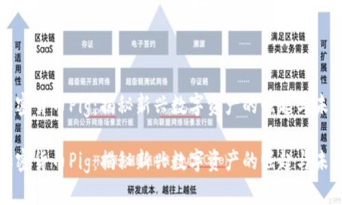 加密货币Pig：揭秘新兴数字资产的崛起与未来

加密货币Pig：揭秘新兴数字资产的崛起与未来