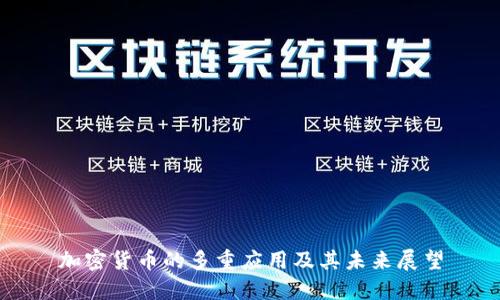 加密货币的多重应用及其未来展望