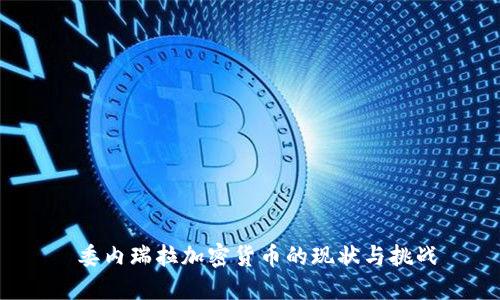  委内瑞拉加密货币的现状与挑战
