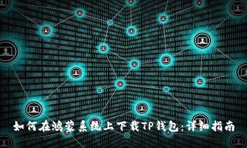 如何在鸿蒙系统上下载TP钱包：详细指南