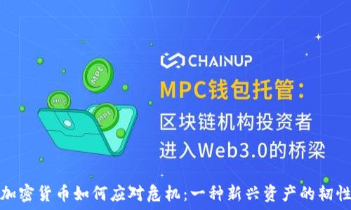   
加密货币如何应对危机：一种新兴资产的韧性