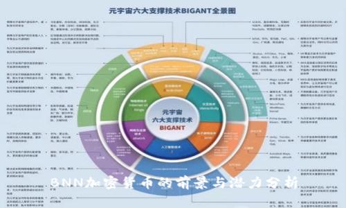 BNN加密货币的前景与潜力分析