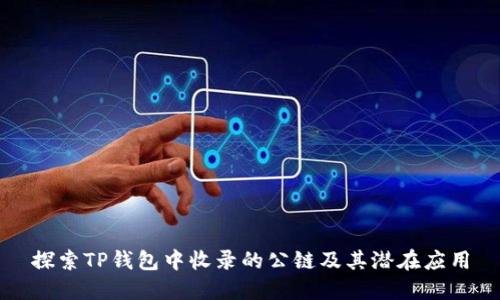 探索TP钱包中收录的公链及其潜在应用