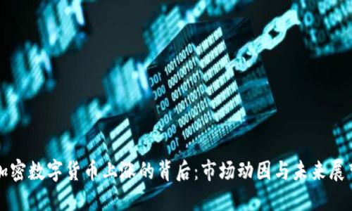 加密数字货币上涨的背后：市场动因与未来展望