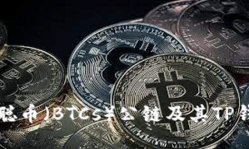 探索中本聪币（BTCs）公链及其TP钱包的潜力