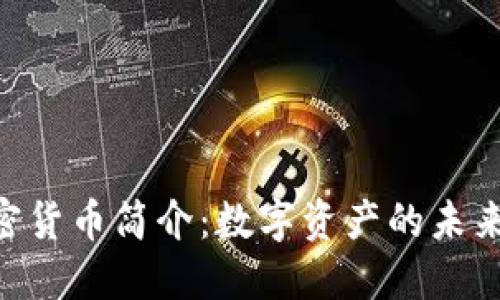 SCM加密货币简介：数字资产的未来与风险