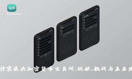 菲律宾最大加密货币交易所：现状、挑战与未来发展