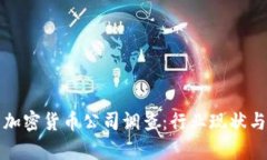 深入解析加密货币公司调