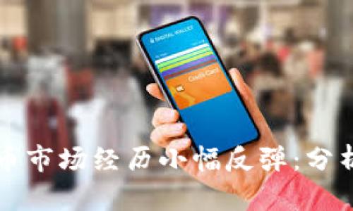加密货币市场经历小幅反弹：分析与展望