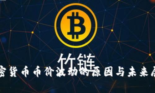 加密货币币价波动的原因与未来展望