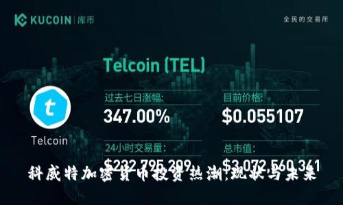 科威特加密货币投资热潮：现状与未来