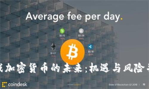 挑战加密货币的未来：机遇与风险并存