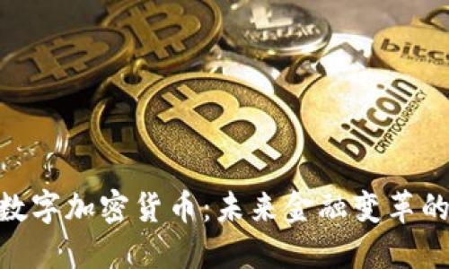 SMB数字加密货币：未来金融变革的先锋