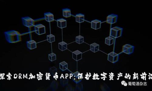 探索DRM加密货币APP：保护数字资产的新前沿