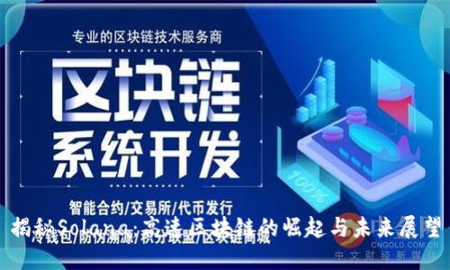 揭秘Solana：高速区块链的崛起与未来展望