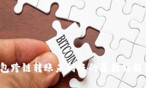 TP钱包跨链转账未到账的原因及解决方案