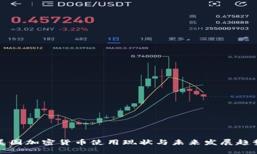 美国加密货币使用现状与未来发展趋势