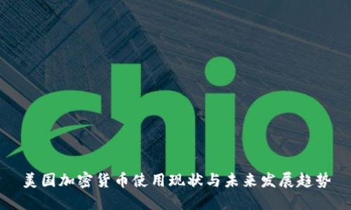 美国加密货币使用现状与未来发展趋势
