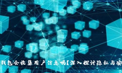 TP钱包会收集用户信息吗？深入探讨隐私与安全