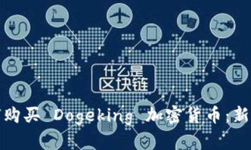 : 如何购买 Dogeking 加密货币：新手指南