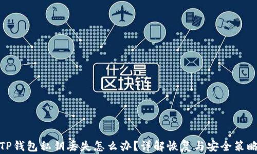 
TP钱包私钥丢失怎么办？详解恢复与安全策略