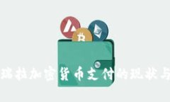 委内瑞拉加密货币支付的