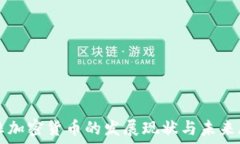   南非加密货币的发展现状