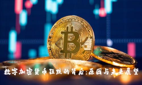 数字加密货币狂跌的背后：原因与未来展望