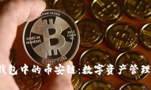  探秘TP钱包中的币安链：数字资产管理的新趋势