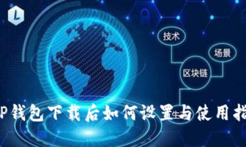  TP钱包下载后如何设置与使用指南