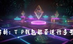 全面解析: T P钱包能否进行
