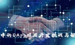 TP钱包中的DApp项目开发挑