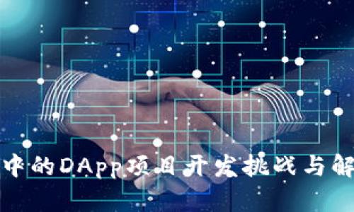 TP钱包中的DApp项目开发挑战与解决方案