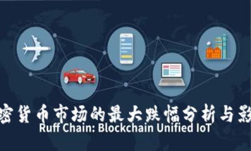 加密货币市场的最大跌幅分析与影响