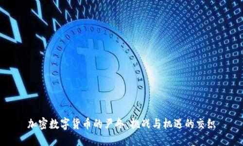加密数字货币的严冬：挑战与机遇的交织
