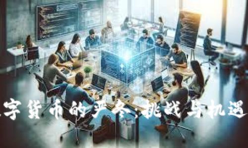 加密数字货币的严冬：挑战与机遇的交织