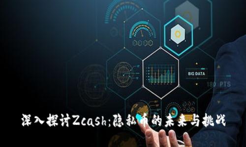 深入探讨Zcash：隐私币的未来与挑战