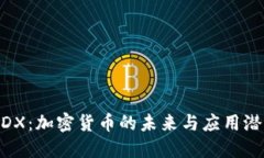 MDX：加密货币的未来与应